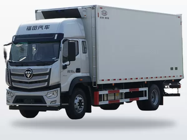 FOTON 4X2 6 cbm Refrigerated Box Truck for Cold-Chain Delivery