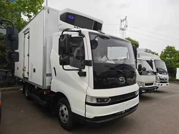 BYD T5 Pure Electric Refrigerated Truck for Zero-Emission