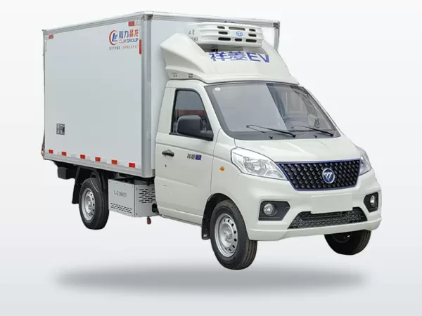 FOTON 4X2 3 cbm Refrigerated Van Truck for Urban Cold Chain