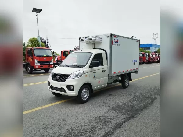 FOTON Mini Refrigerated Truck 4x2 Compact Cold Chain Van