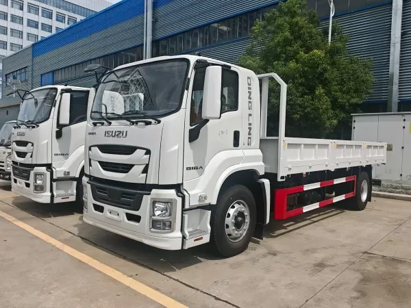 ISUZU 4x2 Cargo Truck 205HP Medium Drop-Side Distribution Truck