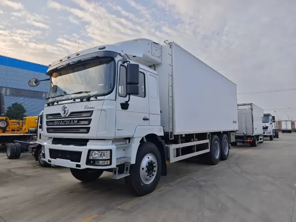 SHACMAN F3000 6x4 20cbm Reefer for High-Volume Routes
